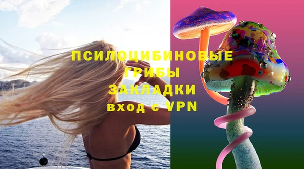 ПСИЛОЦИБИНОВЫЕ ГРИБЫ Алексин