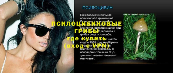 ПСИЛОЦИБИНОВЫЕ ГРИБЫ Алексин