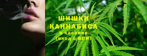 ПСИЛОЦИБИНОВЫЕ ГРИБЫ Алексин