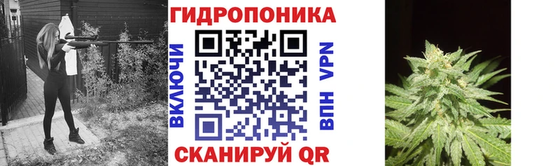 магазин продажи наркотиков  Калининск  omg tor  Бошки марихуана THC 21% 